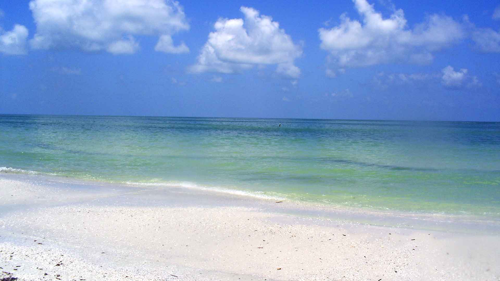 Marco Island Custom Homes